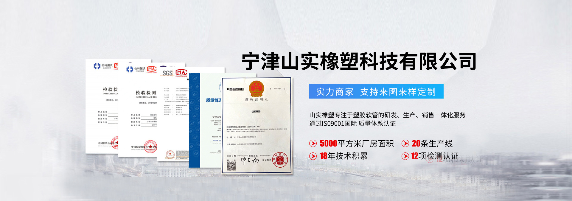 检测报告图